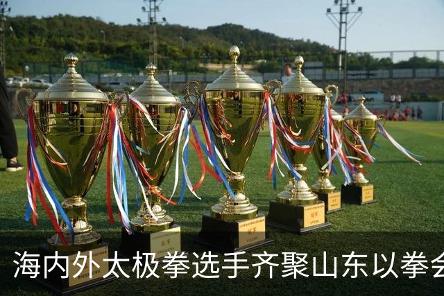 海内外太极拳选手齐聚山东以拳会友